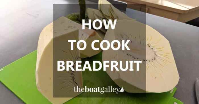 How to cook breadfruit indian style