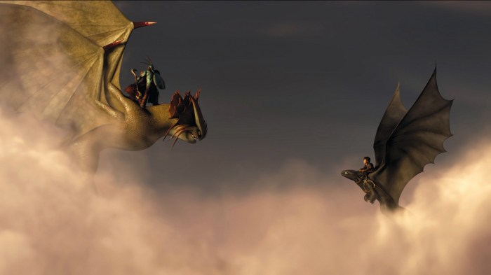 How to train your dragon 2 room decor