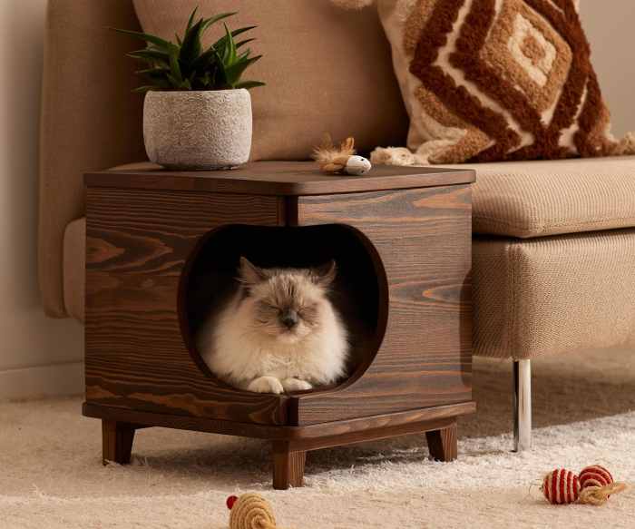 Desain rumah kucing dari kayu dan multiplek