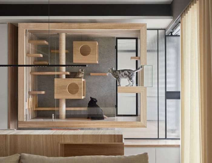 Cat cats design flat house modern gives things happy them make milk